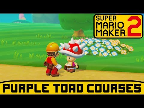 Super Mario Maker 2 Story Mode 100% Walkthrough (Purple Toad Courses)