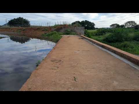 BARRAGEM NO RIO TRUSSU DISTRITO DE SÃO PAULINHO ACOPIARA CEARÁ #barragem #Rio #nordeste 