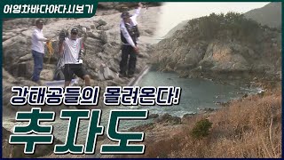 강태공들이 몰려오는 바다 낚시의 천국 제주 추자도!