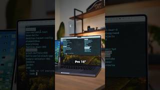 The Best Laptop for Developers