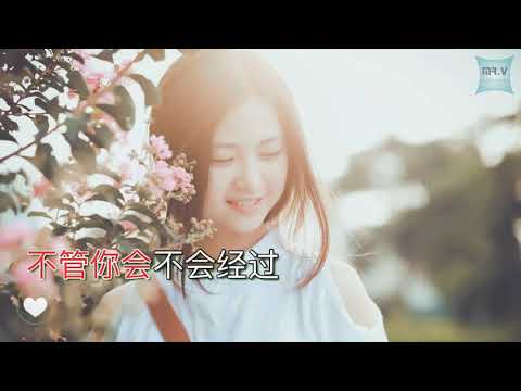 [Karaoke] 追光者 - 岑寧兒（伴奏版）| zhuī guāng zhě - Yoyo Sham