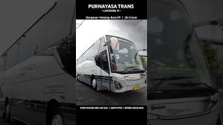 Download lagu Simple & Nyaman | Bis Purnayasa Trans Malang Batu Denpasar #andriawanpratikto #bus #rosaliaindah mp3