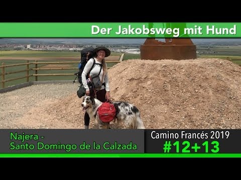 Camino de Santiago with a dog - Documentary 2019 (4K) Days 12 & 13: Najera to Santo Domingo || Ca...