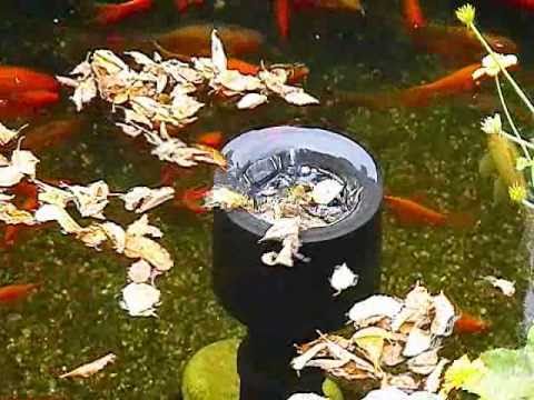 Watch Video on YouTube