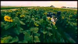 Ocean - To wszystko czego chcesz