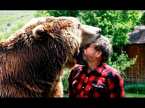 САМЫЕ СТРАШНЫЕ НАПАДЕНИЯ МЕДВЕДЕЙ НА ЧЕЛОВЕКА попавшие на видео