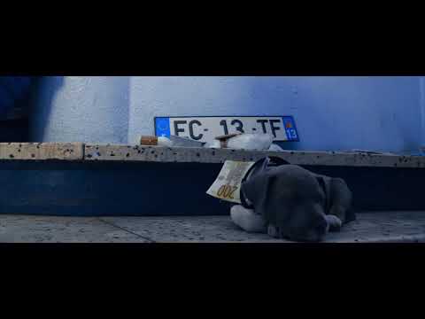 Br la zone - dans le bâtiment