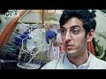 The Accidental Discovery Of Phencyclidine PCP VICE Blueprint