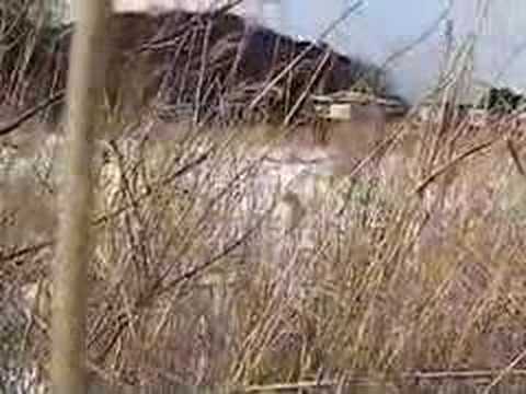 Merry Pappy 02-04-2007#3