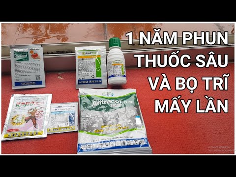 🔴 QBS22126 - HOW MANY TIMES SHOULD WE SPRAY INSECTICIDE AND THrips EACH YEAR FOR YELLOW APRICOT T...