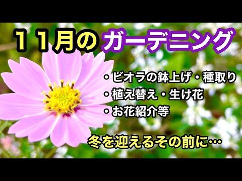 園芸 ヴリーセ・ポールマニイ