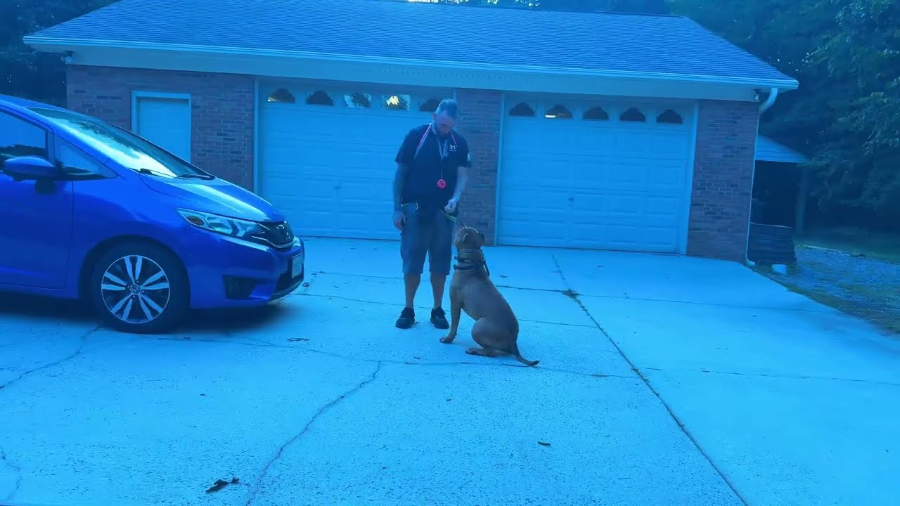 George's Transformation Journey