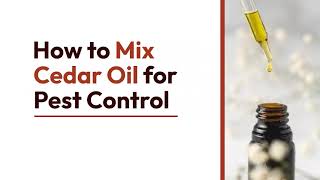 8 Ways to Mix Cedar Oil for Pest Control | The Guardians Choice