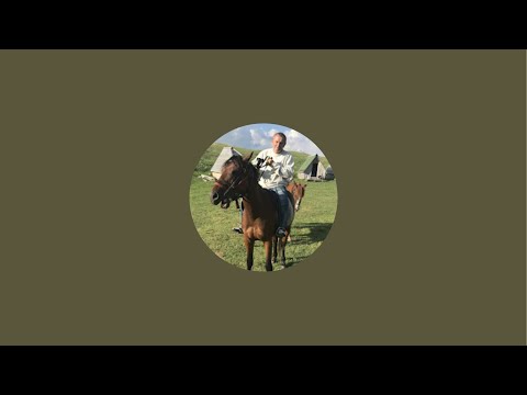 Dragan Rakonjac Tesla punjac