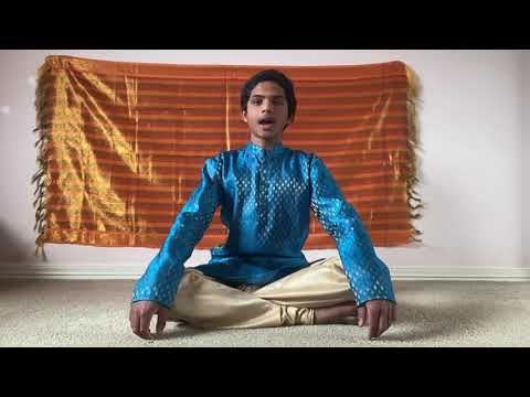 Carnatic Golu - Akshanth Balasubramanian