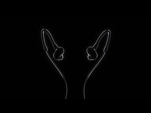 Sennheiser IE 300 Black image 10