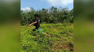 Download lagu Story wa lucu kowe tak sayang sayang mp3