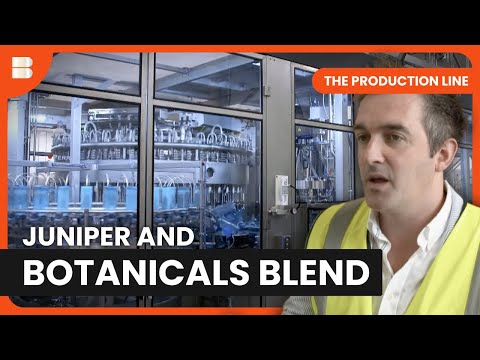 How is Bombay Sapphire Made? | The Production Line | Documentary