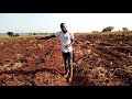 How To Sow Plant Water Mellon Seeds 1st Day Letsgrowtogether Watermelon Viral