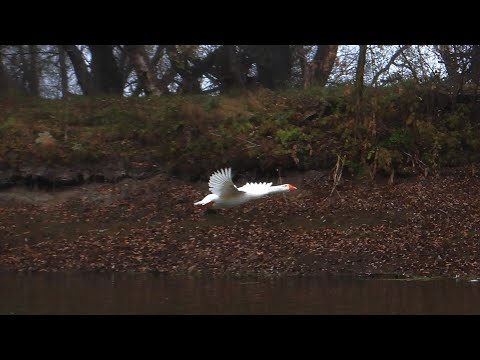 26 ok. 26 ok. Зияходжаев адхамджон фозилжонович. 26 ok. 26 ok.