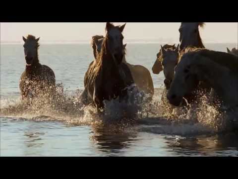 A Love For Life - Yanni