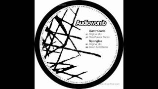Audiowomb - Spongiae // Flicker Rhythm Records