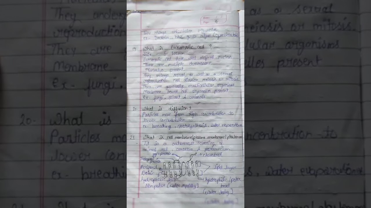 class 9 science|| chapter 5 notes|| part -1