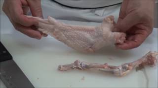 [問卦] 雞雞該塞什麼，女孩子會喜歡