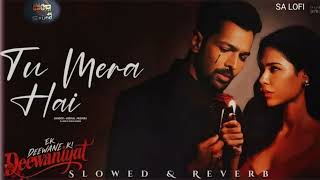 Tu Mera Hai Ek Diwane Ki Diwaniyat | New Romantic Song 2025 | Love Song | Heart Touching Music