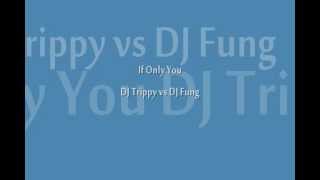 DJ Trippy vs DJ Fung - If Only You