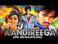 Khatarnak Yodha (Kandireega) South Indian Bhojpuri Dubbed Full Movie | Ram Pothineni,Hansika Motwani DEFAULT Thumbnail