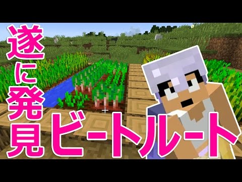 19年のテンサイの収穫規則