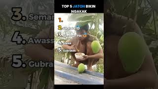 Download lagu Top 5 Orang Jatuh Lucu 🤣 #shorts #jatuh mp3