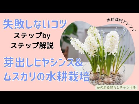 ムスカリについて詳しく解説