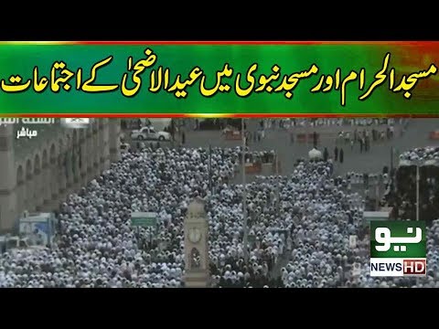 download lagu mp3 mp4 Eid Al Adha 2018 Saudi Arabia, download lagu Eid Al Adha 2018 Saudi Arabia gratis, unduh video klip Eid Al Adha 2018 Saudi Arabia