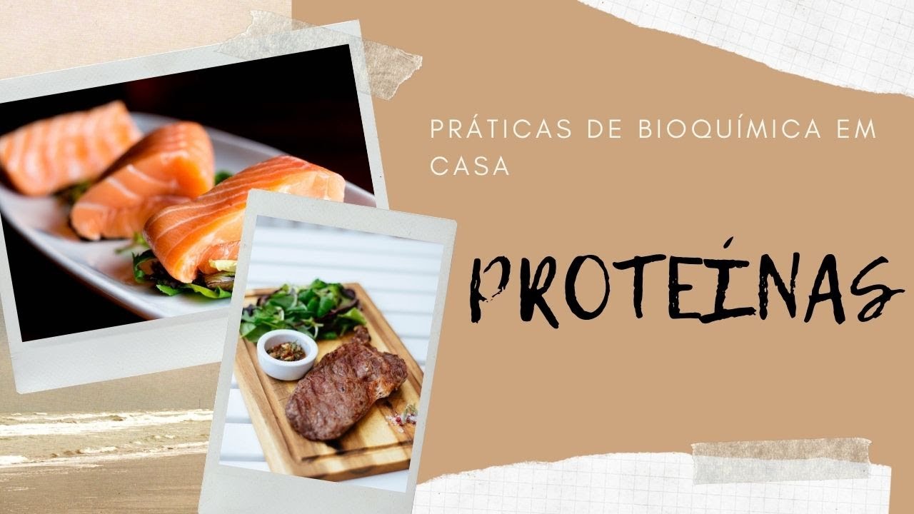 PROTEÍNAS - PRÁTICA EM CASA