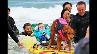 Surf Dog Ricochet Catches Waves With Severely Disabled kids