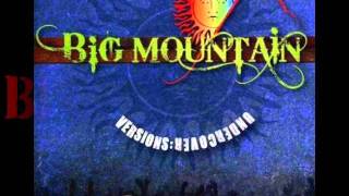big mountain - revolution - reggae - HQ.wmv