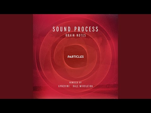 Brain Notes (Dale Middleton Remix)