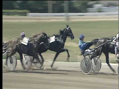 Trotto 08/06/2017 - 1ª corsa