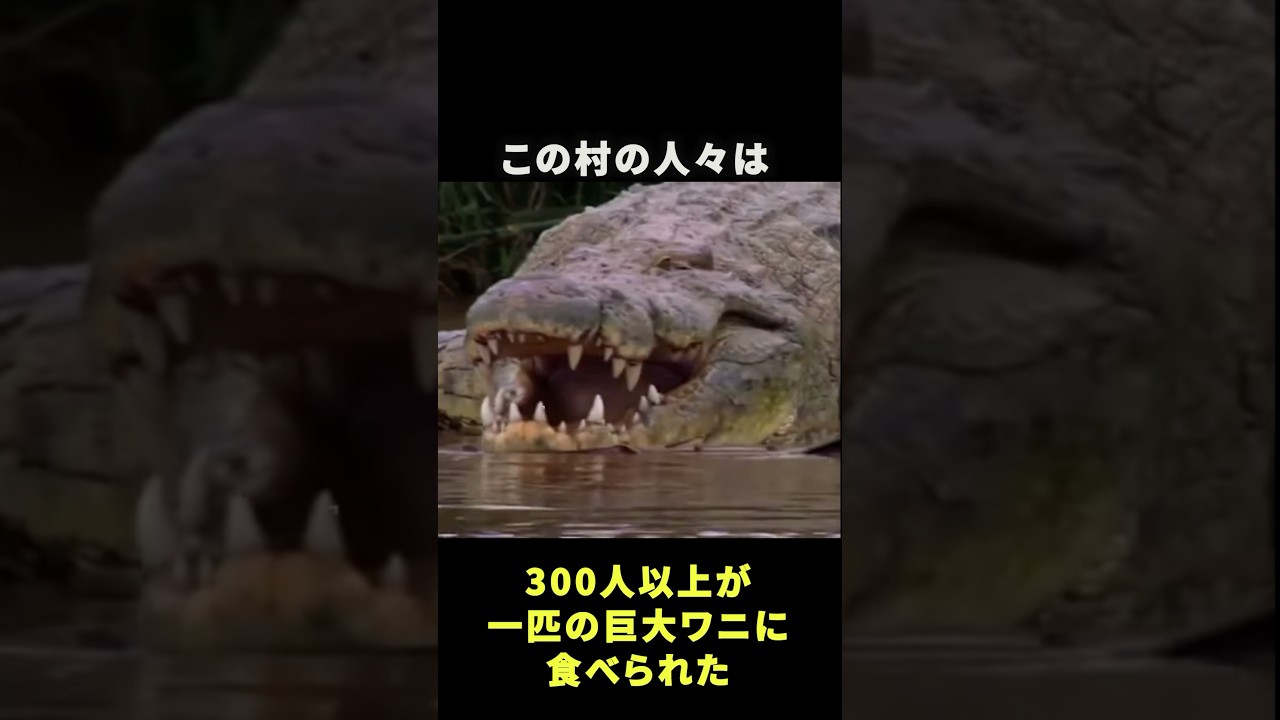 ワニによって消滅される村、独特の進化を遂げたワニとは