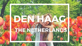 TRAVEL GUIDE:  Den Haag + Day Trips