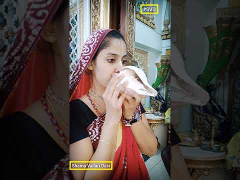 Amazing Conch blowing sound 🐚 👉 | Conch Shell 🐚 | SVD #shorts