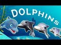 Dolphin Finger Family Nursery Rhyme Candy Finger Family Rhymes Daddy Finger Songs