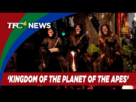 Apes riding horses in Hollywood at 'Kingdom of the Planet of the Apes' world premiere TFC News