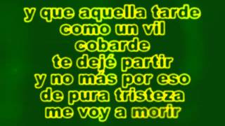 Vicente Fernandez Conoci A Tu Esposo Karaoke