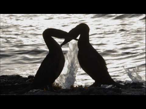 Ju te san se, Klapa Nostalgija