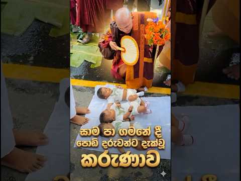 සාම පා ගමනේ දී දරුවන්ට දැක්වූ කරුණාව walk for peace sri lanka  #news  #love  #travel