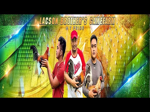 Lets Visit The Farm Of Lacson Brother's Farm