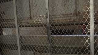 preview picture of video 'Pissed Off Schindler Freight Elevator at Broadway Mall in Hicksville, NY'
